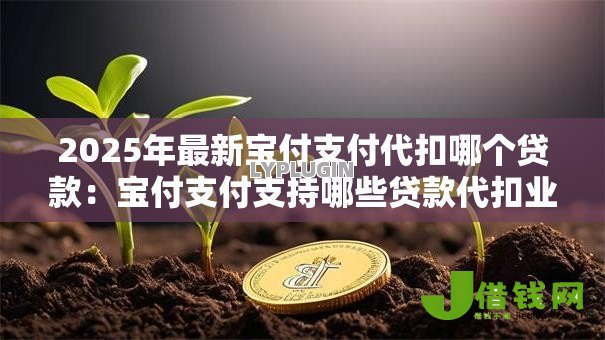 2025年最新宝付支付代扣哪个贷款：宝付支付支持哪些贷款代扣业务
