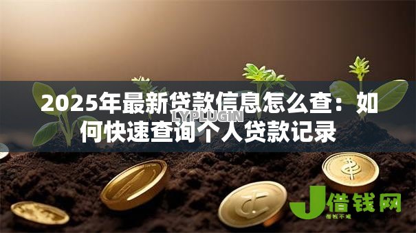 2025年最新贷款信息怎么查：如何快速查询个人贷款记录