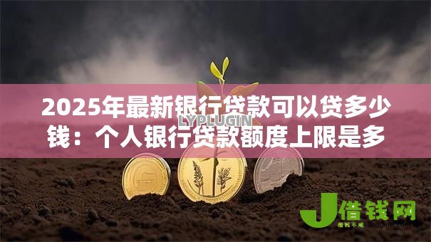 2025年最新银行贷款可以贷多少钱：个人银行贷款额度上限是多少