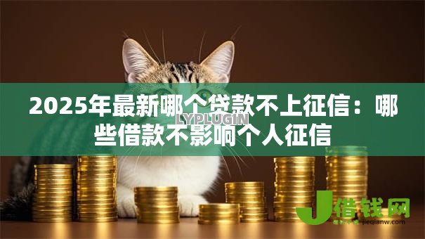 2025年最新哪个贷款不上征信:哪些借款不影响个人征信 2025年最新哪个贷款不上征信:哪些借款不影响个人征信