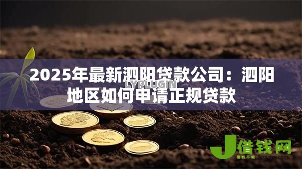 2025年最新泗阳贷款公司：泗阳地区如何申请正规贷款