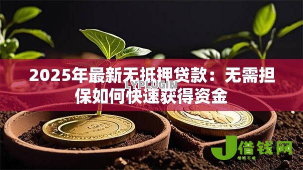 2025年最新无抵押贷款:无需担保如何快速获得资金 2025年最新无抵押贷款:无需担保如何快速获得资金