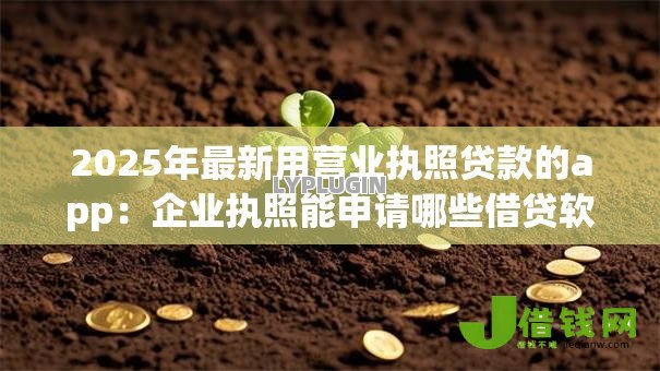 2025年最新用营业执照贷款的app：企业执照能申请哪些借贷软件