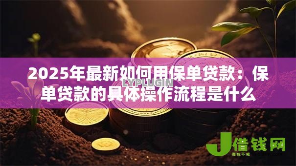 2025年最新如何用保单贷款：保单贷款的具体操作流程是什么