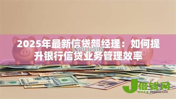 2025年最新信贷部经理：如何提升银行信贷业务管理效率