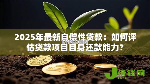 2025年最新自偿性贷款：如何评估贷款项目自身还款能力？