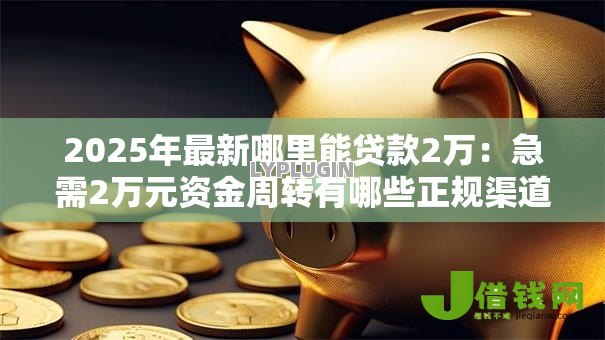 2025年最新哪里能贷款2万：急需2万元资金周转有哪些正规渠道