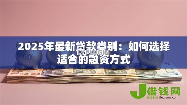 2025年最新贷款类别：如何选择适合的融资方式