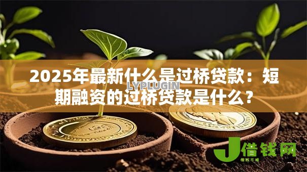 2025年最新什么是过桥贷款:短期融资的过桥贷款是什么? 2025年最新什么是过桥贷款:短期融资的过桥贷款是什么?