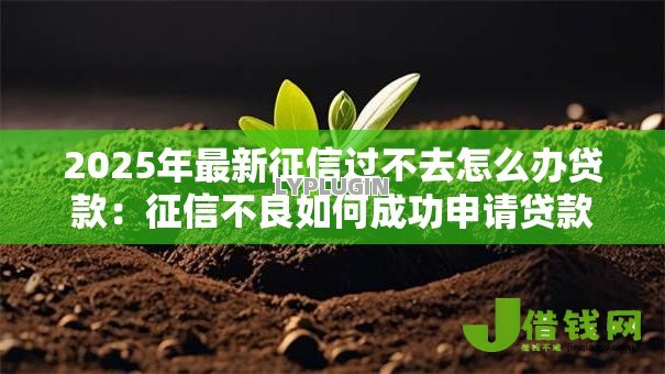 2025年最新征信过不去怎么办贷款：征信不良如何成功申请贷款