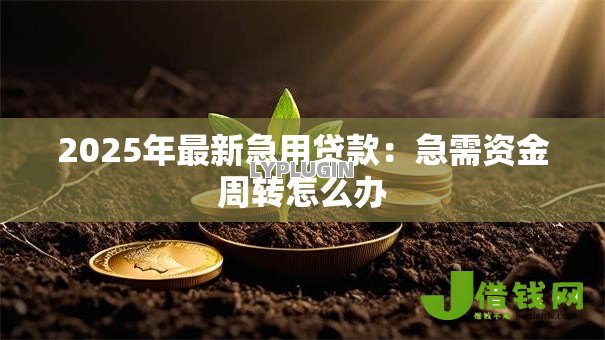 2025年最新急用贷款：急需资金周转怎么办