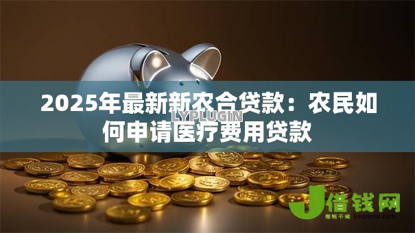 2025年最新新农合贷款：农民如何申请医疗费用贷款