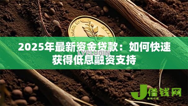 2025年最新资金贷款:如何快速获得低息融资支持 2025年最新资金贷款:如何快速获得低息融资支持