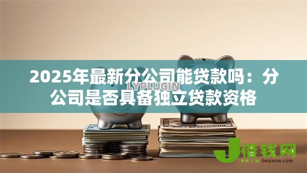 2025年最新分公司能贷款吗：分公司是否具备独立贷款资格