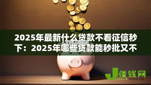 2025年最新什么贷款不看征信秒下：2025年哪些贷款能秒批又不查征信
