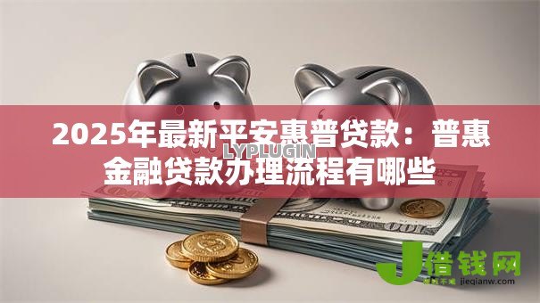 2025年最新平安惠普贷款：普惠金融贷款办理流程有哪些