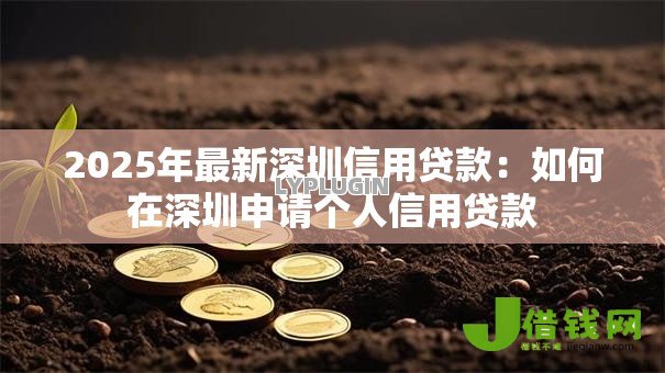 2025年最新深圳信用贷款：如何在深圳申请个人信用贷款
