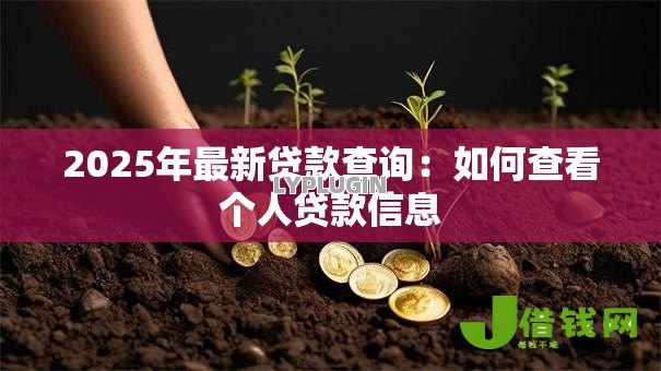2025年最新贷款查询:如何查看个人贷款信息 2025年最新贷款查询:如何查看个人贷款信息