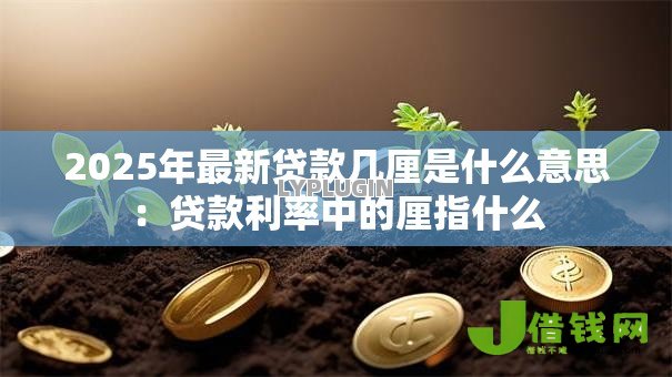 2025年最新贷款几厘是什么意思：贷款利率中的厘指什么