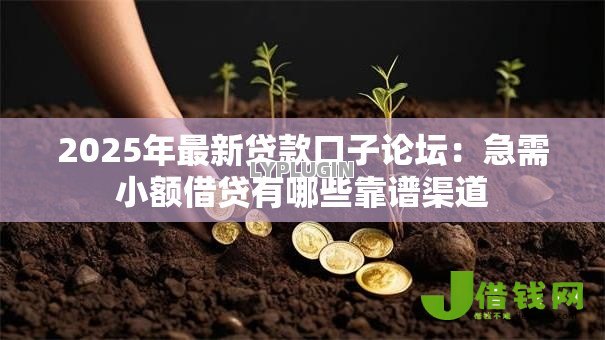 2025年最新贷款口子论坛:急需小额借贷有哪些靠谱渠道 2025年最新贷款口子论坛:急需小额借贷有哪些靠谱渠道