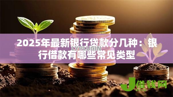2025年最新银行贷款分几种：银行借款有哪些常见类型