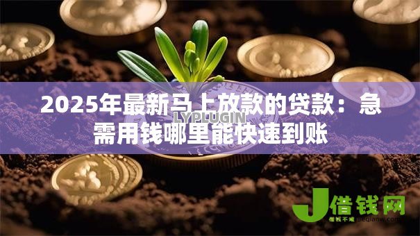2025年最新马上放款的贷款：急需用钱哪里能快速到账