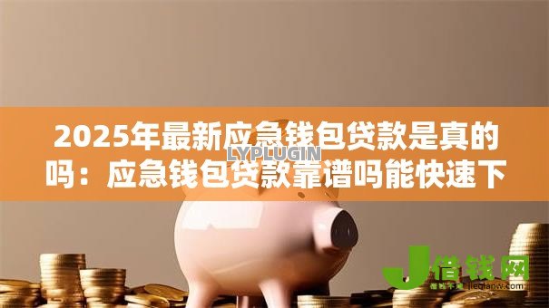 2025年最新应急钱包贷款是真的吗：应急钱包贷款靠谱吗能快速下款吗
