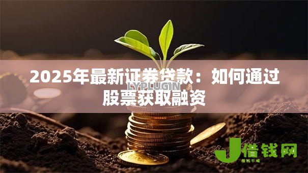 2025年最新证券贷款:如何通过股票获取融资 2025年最新证券贷款:如何通过股票获取融资