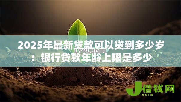 2025年最新贷款可以贷到多少岁：银行贷款年龄上限是多少