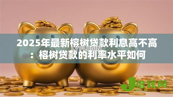 2025年最新榕树贷款利息高不高：榕树贷款的利率水平如何