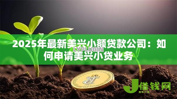 2025年最新美兴小额贷款公司:如何申请美兴小贷业务 2025年最新美兴小额贷款公司:如何申请美兴小贷业务