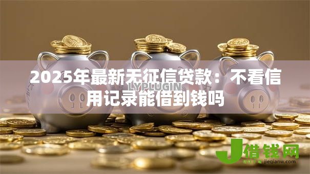 2025年最新无征信贷款:不看信用记录能借到钱吗 2025年最新无征信贷款:不看信用记录能借到钱吗
