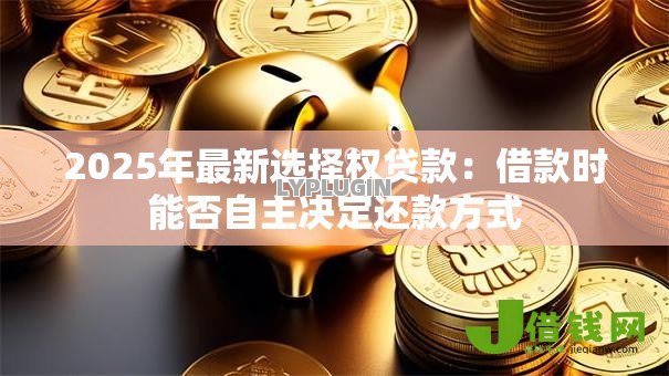 2025年最新选择权贷款：借款时能否自主决定还款方式