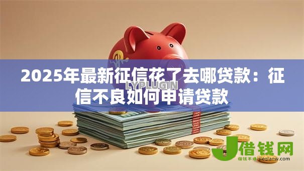 2025年最新征信花了去哪贷款：征信不良如何申请贷款