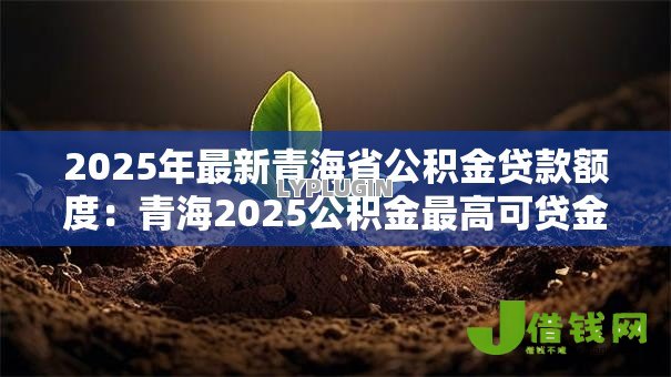 2025年最新青海省公积金贷款额度：青海2025公积金最高可贷金额是多少