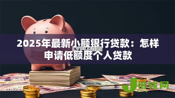 2025年最新小额银行贷款：怎样申请低额度个人贷款
