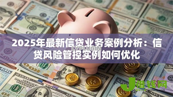 2025年最新信贷业务案例分析：信贷风险管控实例如何优化