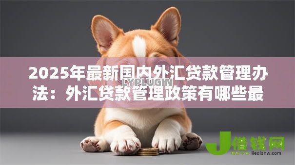 2025年最新国内外汇贷款管理办法:外汇贷款管理政策有哪些最新规定 2025年最新国内外汇贷款管理办法:外汇贷款管理政策有哪些最新规定