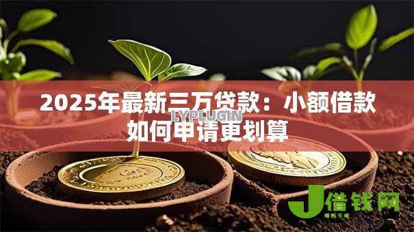2025年最新三万贷款：小额借款如何申请更划算