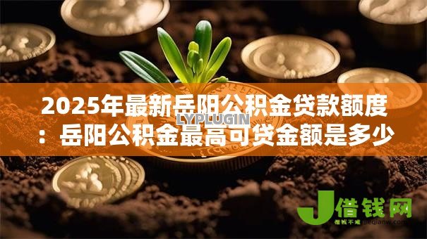 2025年最新岳阳公积金贷款额度：岳阳公积金最高可贷金额是多少