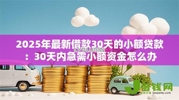 2025年最新借款30天的小额贷款：30天内急需小额资金怎么办