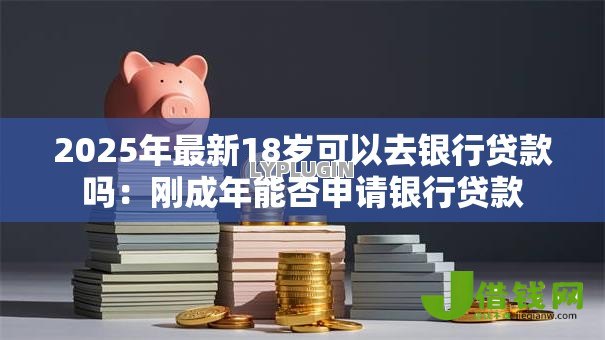 2025年最新18岁可以去银行贷款吗：刚成年能否申请银行贷款
