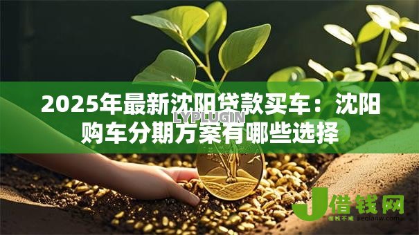 2025年最新沈阳贷款买车:沈阳购车分期方案有哪些选择 2025年最新沈阳贷款买车:沈阳购车分期方案有哪些选择