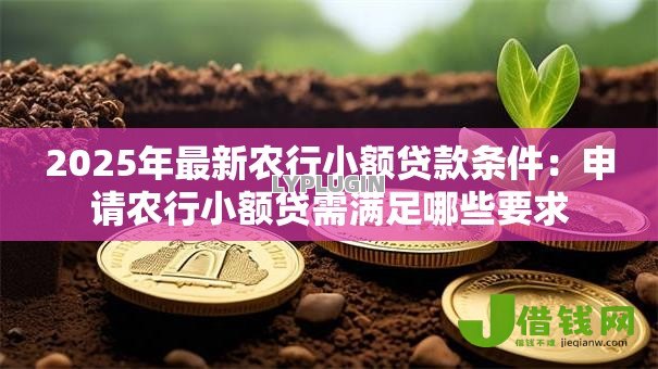 2025年最新农行小额贷款条件:申请农行小额贷需满足哪些要求 2025年最新农行小额贷款条件:申请农行小额贷需满足哪些要求