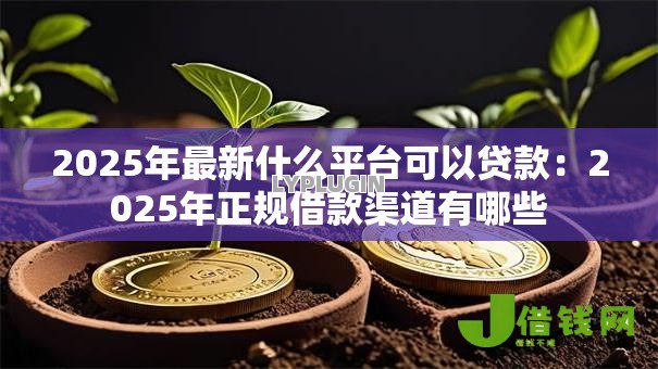2025年最新什么平台可以贷款:2025年正规借款渠道有哪些 2025年最新什么平台可以贷款:2025年正规借款渠道有哪些