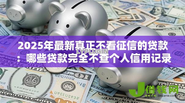 2025年最新真正不看征信的贷款：哪些贷款完全不查个人信用记录