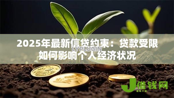 2025年最新信贷约束：贷款受限如何影响个人经济状况