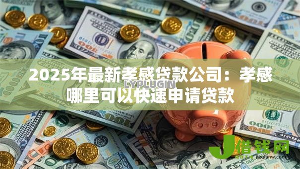 2025年最新孝感贷款公司:孝感哪里可以快速申请贷款 2025年最新孝感贷款公司:孝感哪里可以快速申请贷款