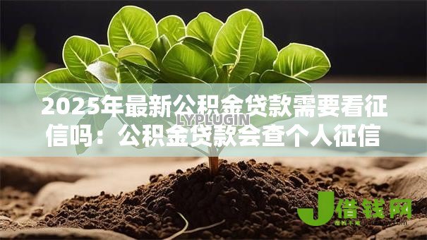 2025年最新公积金贷款需要看征信吗:公积金贷款会查个人征信吗 2025年最新公积金贷款需要看征信吗:公积金贷款会查个人征信吗