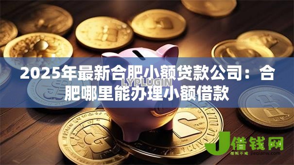 2025年最新合肥小额贷款公司:合肥哪里能办理小额借款 2025年最新合肥小额贷款公司:合肥哪里能办理小额借款